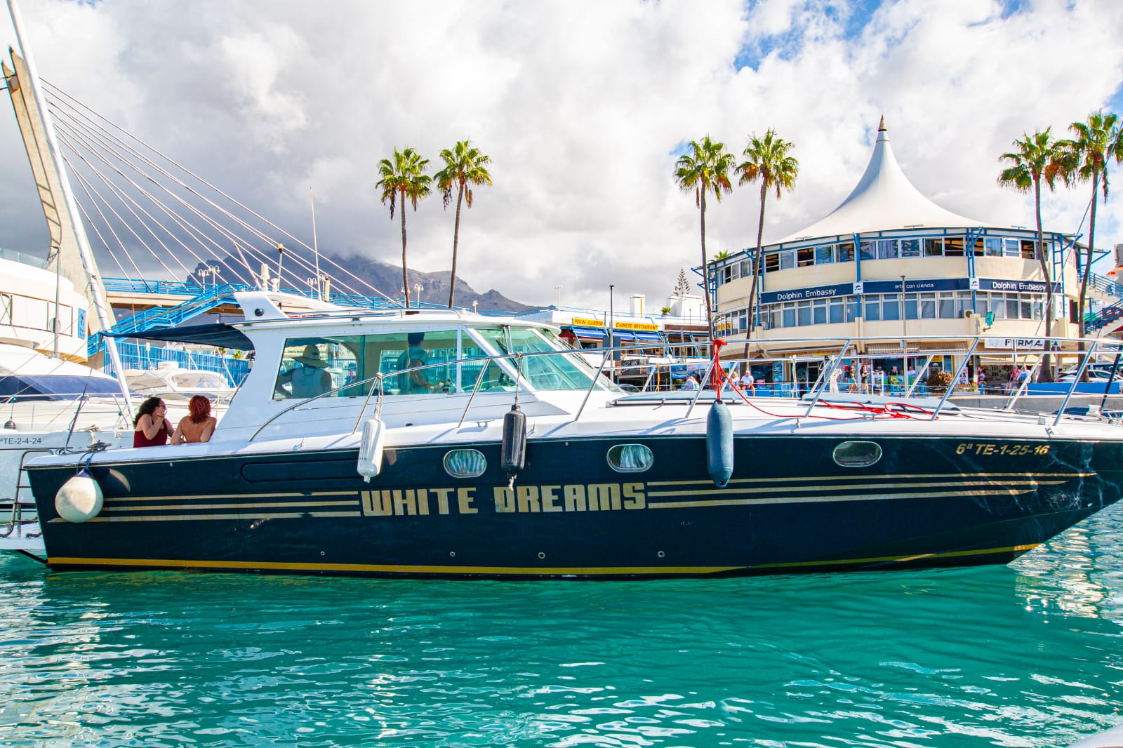 Výlet lodí za delfíny a kytovci na 3 hodiny - 5